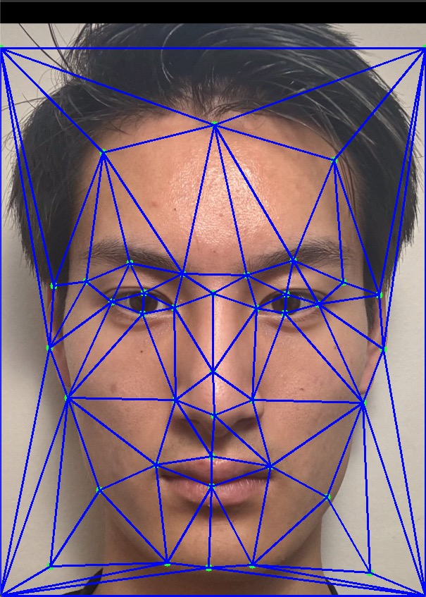 ethan_mean_triangulation.jpg