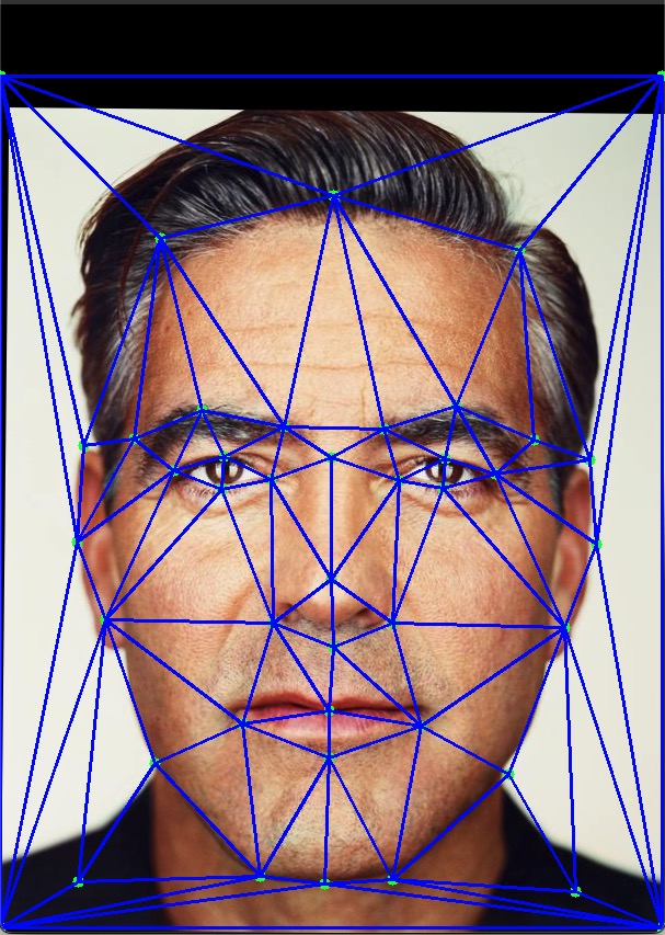 george_mean_triangulation.jpg