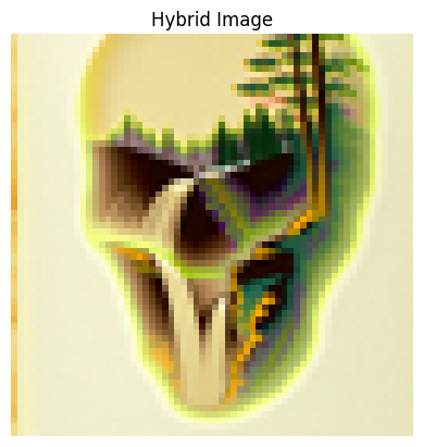 hybrid_image1.png