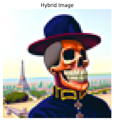 hybrid_image3.png