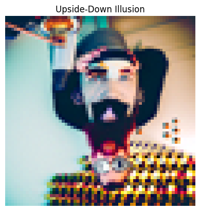 visual_anagram_upside_down2.png