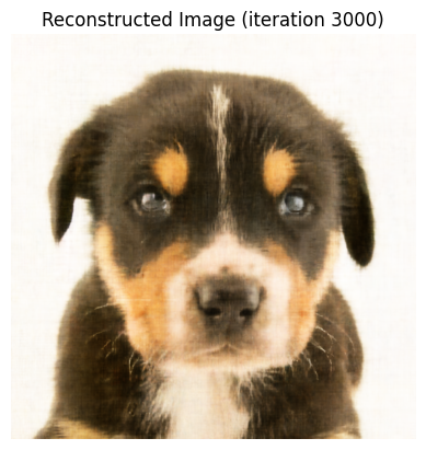 dog_iter_3000.png